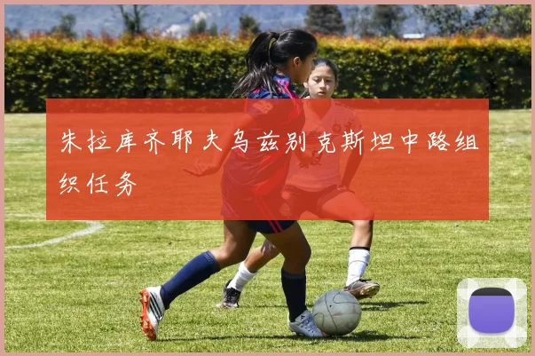 朱拉库齐耶夫乌兹别克斯坦中路组织任务