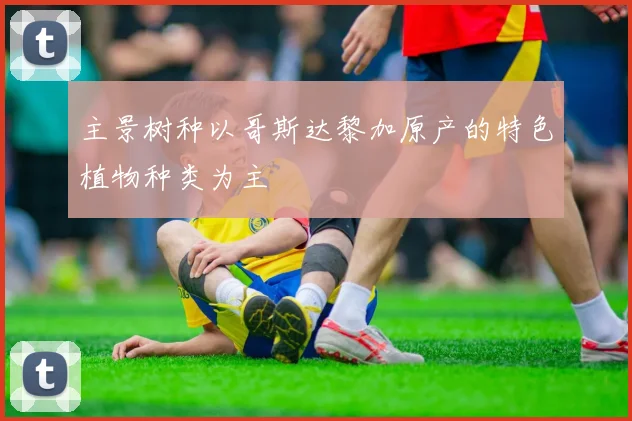主景树种以哥斯达黎加原产的特色植物种类为主