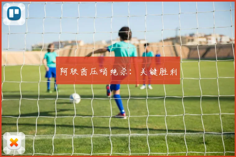 阿联酋压哨绝杀：关键胜利