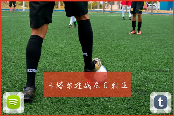 卡塔尔迎战尼日利亚