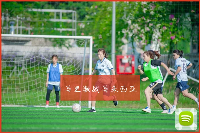 马里激战马来西亚