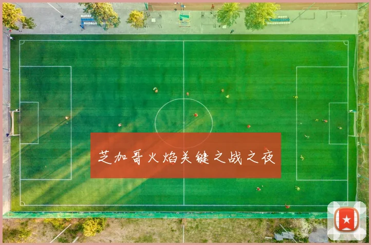 芝加哥火焰关键之战之夜