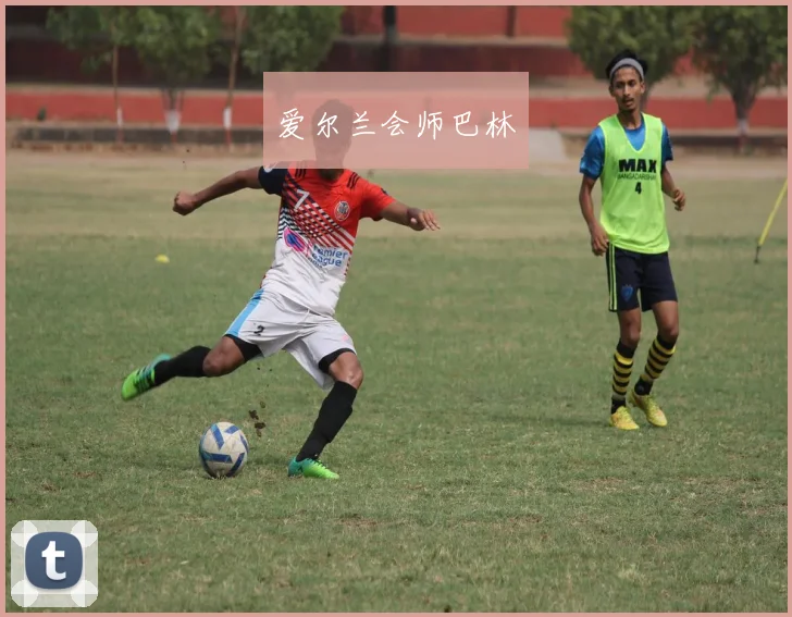 爱尔兰会师巴林