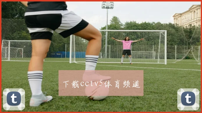 下载cctv5体育频道