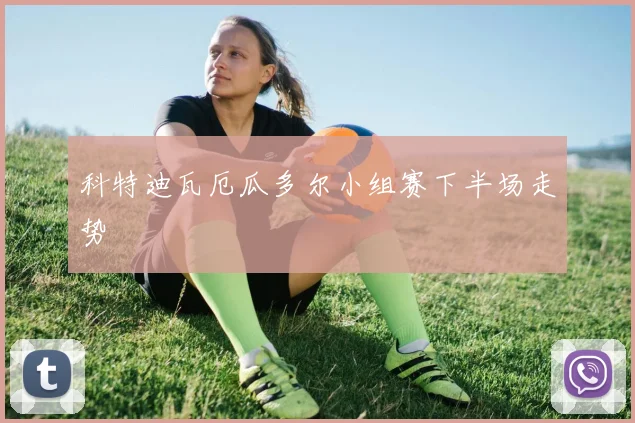 科特迪瓦厄瓜多尔小组赛下半场走势