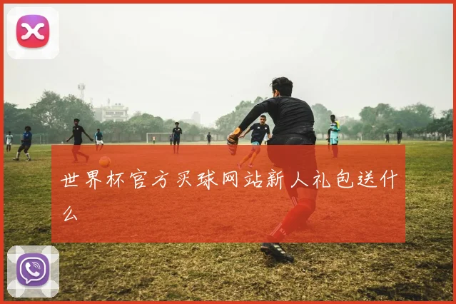 世界杯官方买球网站新人礼包送什么