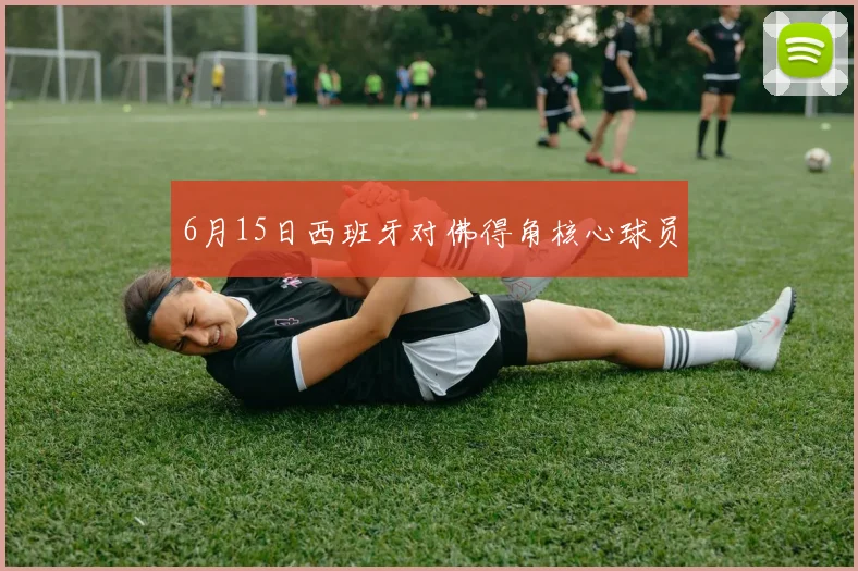 6月15日西班牙对佛得角核心球员