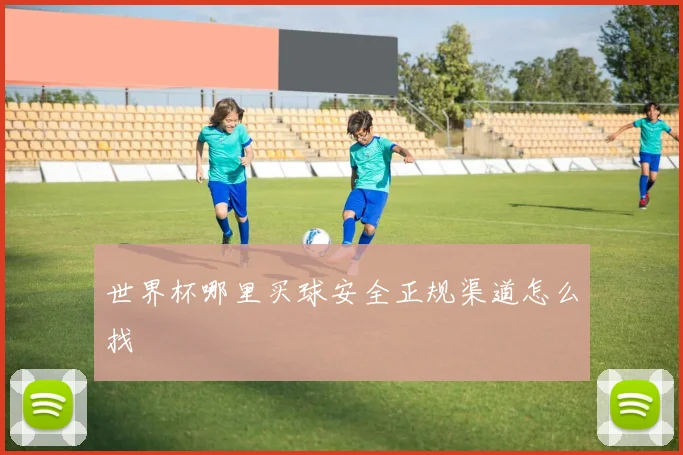 世界杯哪里买球安全正规渠道怎么找